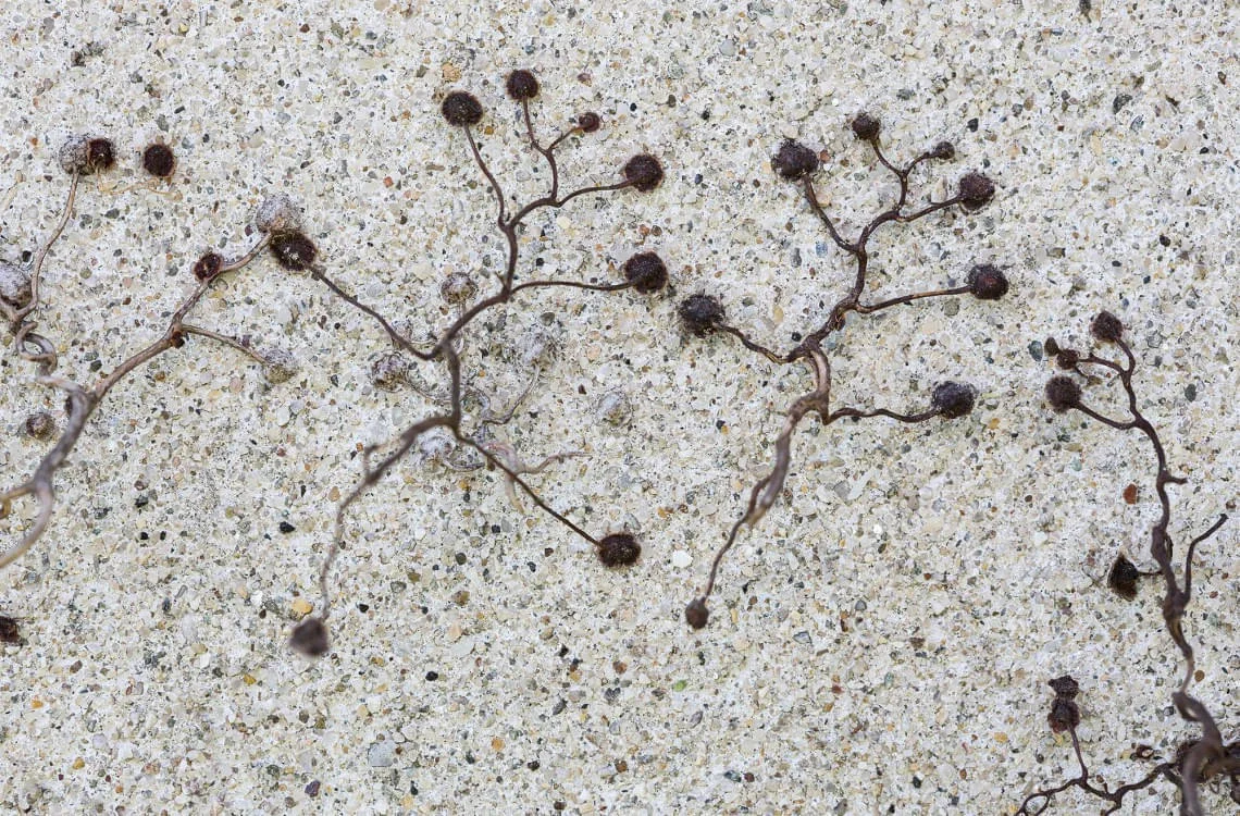 Koerperarbeit Koerperarbeit