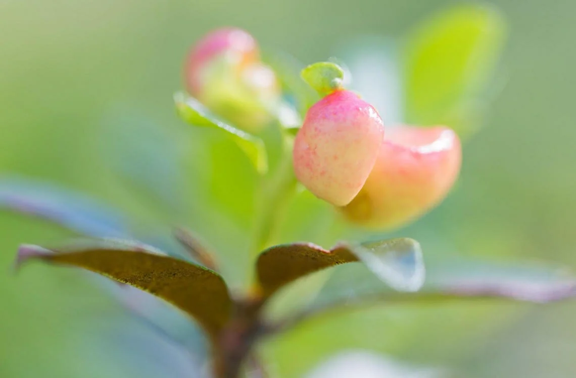 Energieausgleich-Preise Energieausgleich-Preise